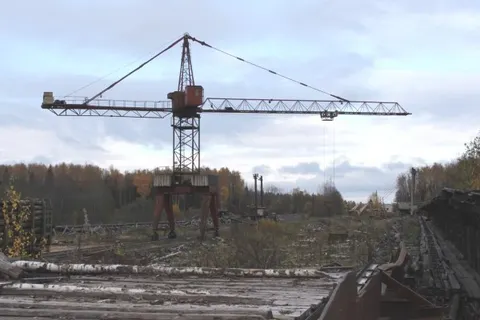 В Ярославской области незаконно вырубили более пяти тысяч кубометров леса