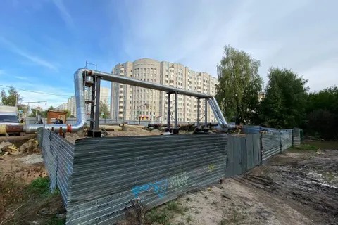 В застройке березовой рощи обнаружился след экс-мэра Ярославля Владимира Волкова