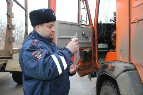 ​В Ярославле по незаконным вырубкам леса ударили очередным рейдом