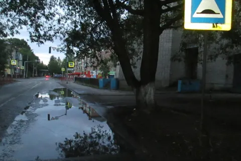 В Ярославле при наезде автомобиля на дерево подросток получил перелом носа