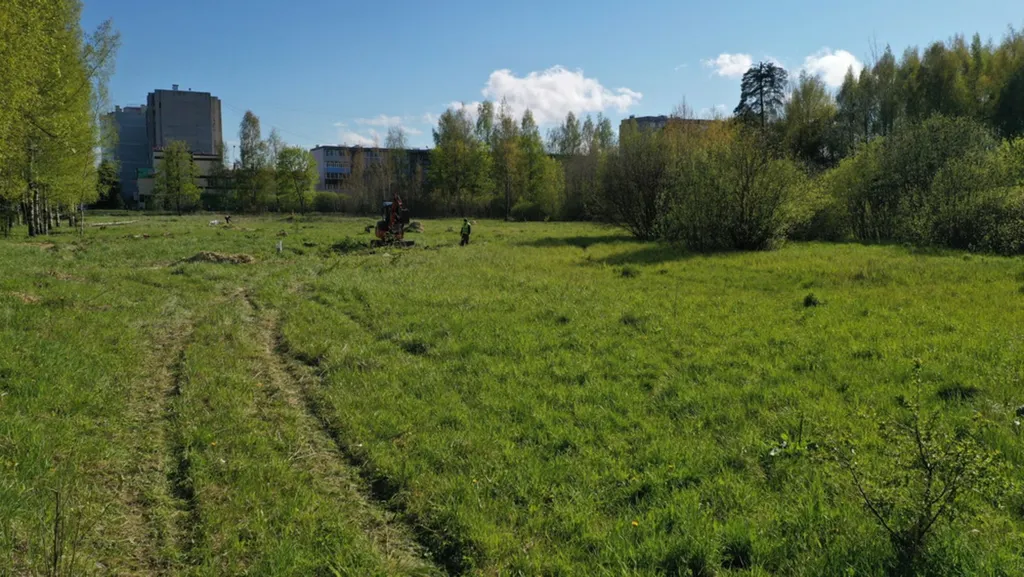 В Рыбинске на месте пустыря сделают парк