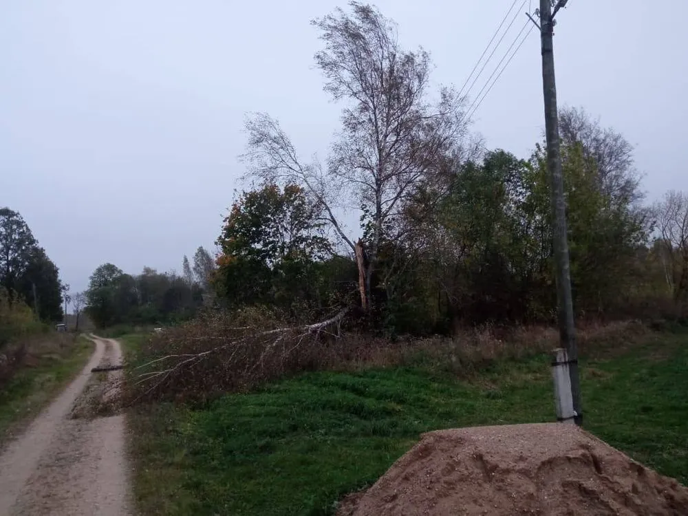 Ярославские энергетики оперативно устраняют последствия непогоды