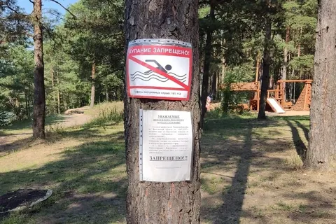 «Энтерококки»: в Ярославле запретили купаться на Прусовских карьерах
