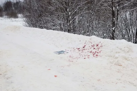 Ярославец задержан за браконьерство