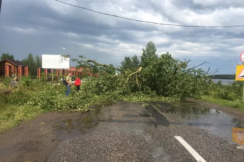 Поселок Красный Профинтерн под Ярославлем оказался в эпицентре урагана