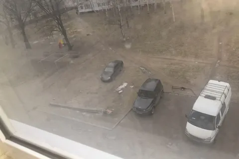 Ночью в Ярославле на машину рухнуло дерево