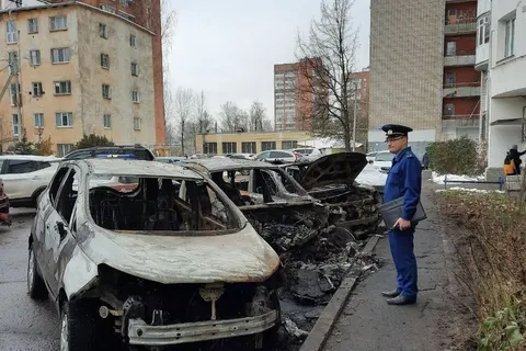 В Ярославле возбудили уголовное дело из-за массового автопожара
