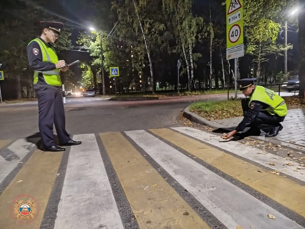 Госавтоинспекция недовольна качеством освещения в Ярославле
