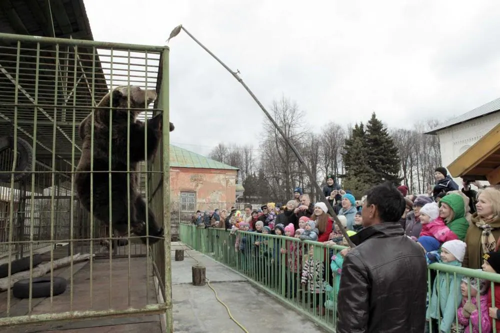 В Ярославском музее-заповеднике отпраздновали «День медведя»