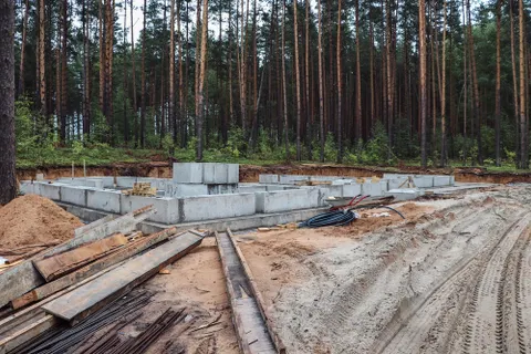 Разрешение на строительство коттеджей в Прусовском лесу не выдавалось