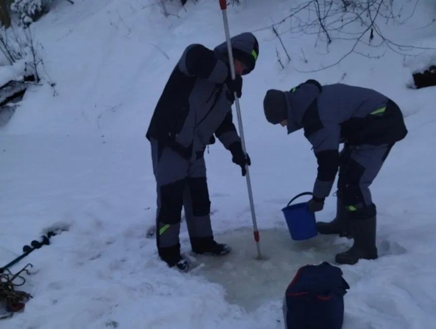 Специалисты проверят воду в реке под Ярославлем