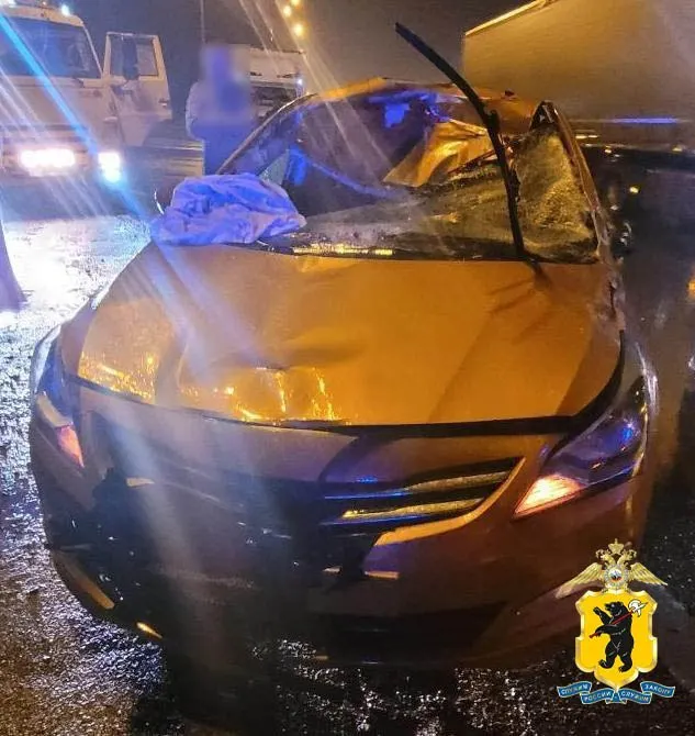 В Ярославской области водитель пострадал в ДТП с лосём