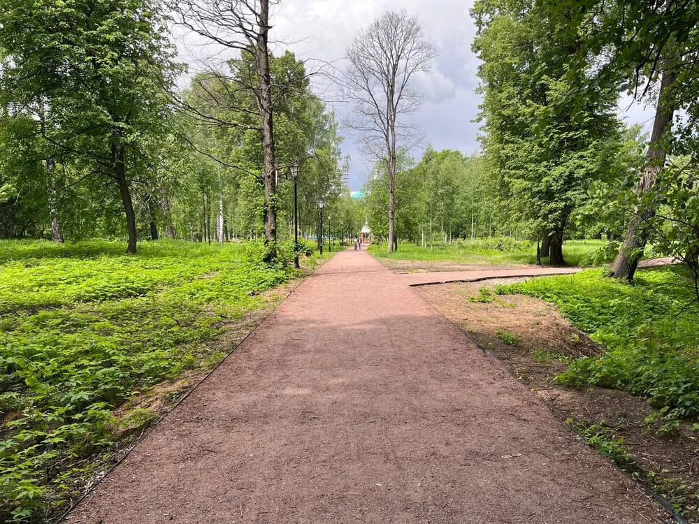 Власти Ярославля рассказали о посадках в Петропавловском парке