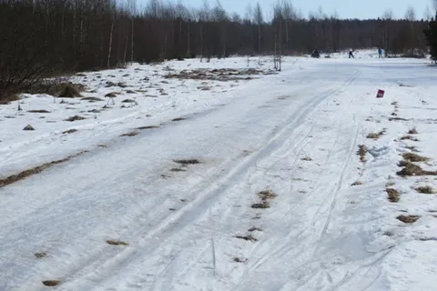 Деминский марафон Worldloppet-2014 в Рыбинске отменен. С фото