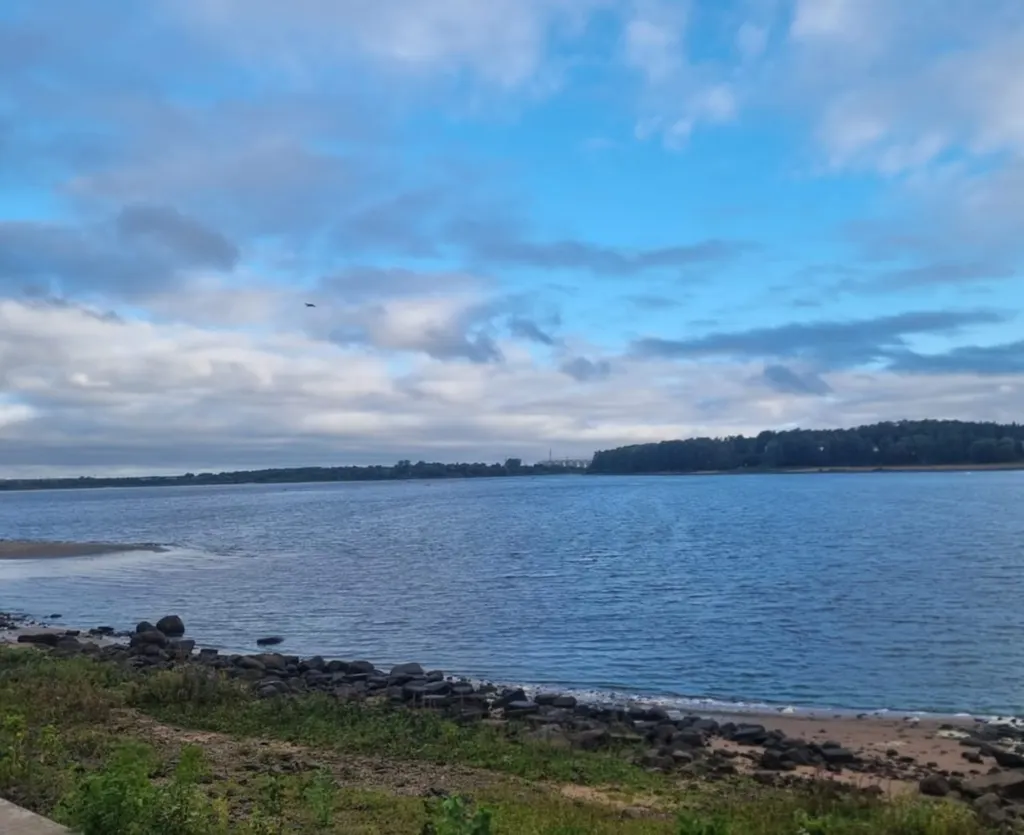 В Рыбинском водохранилище взяли повторные пробы черной воды