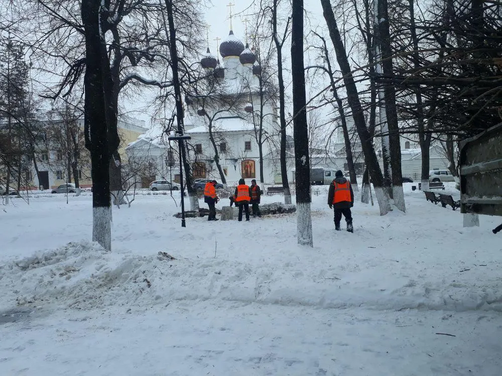 Ярославские экологи возмущены обрезкой лип в Демидовском сквере