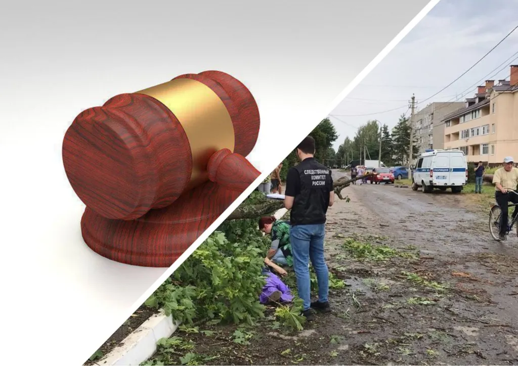 Родные погибшей от упавшего дерева ярославской пенсионерки простили виновного