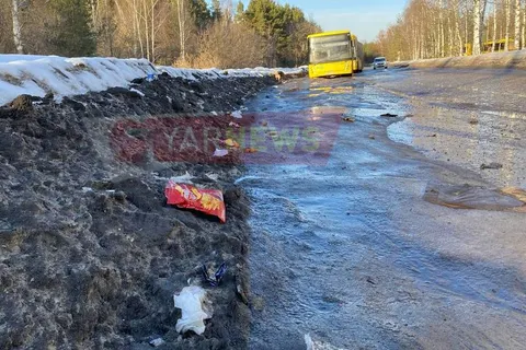 В Ярославле конечную остановку желтых автобусов превратили в помойку