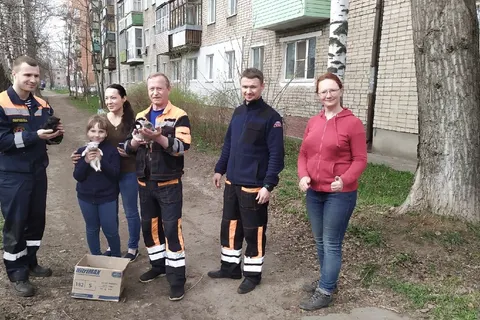В Ярославле сотрудники ЦГЗ спасли котят из вентиляционной шахты