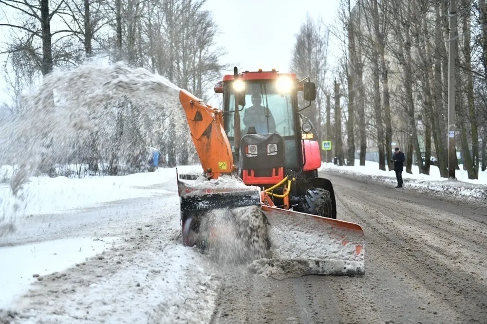 В Ярославле посчитали экономию от бесснежной зимы