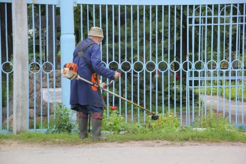 В Ярославле начали благоустраивать Тугову гору