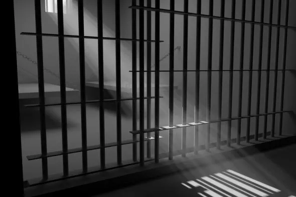 Результаты доследственной проверки: заключенный исправительной колонии Рыбинска был задушен