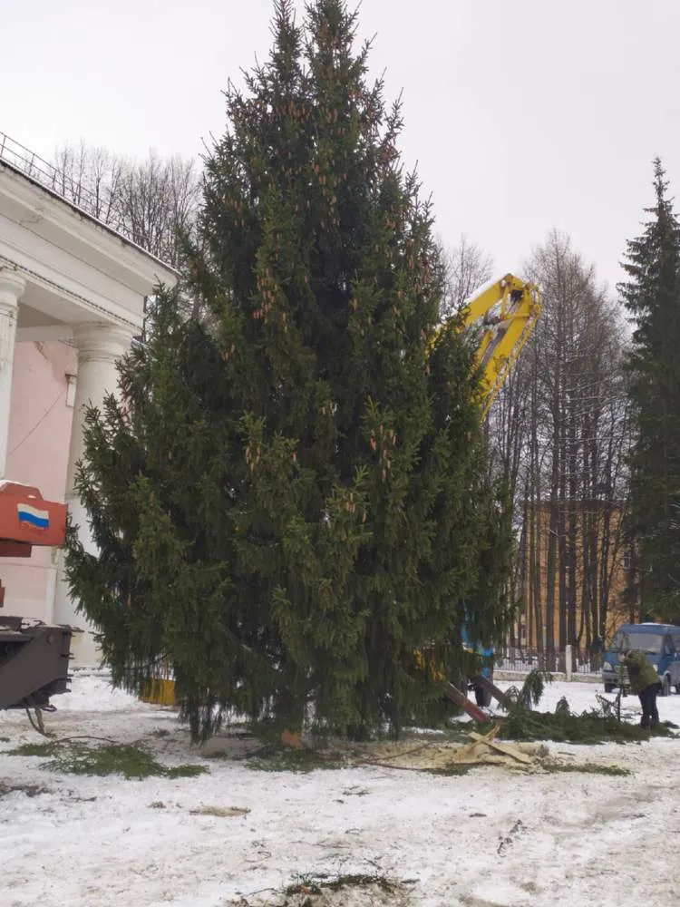 Недовольным ярославцам поменяли елку на более лучшую