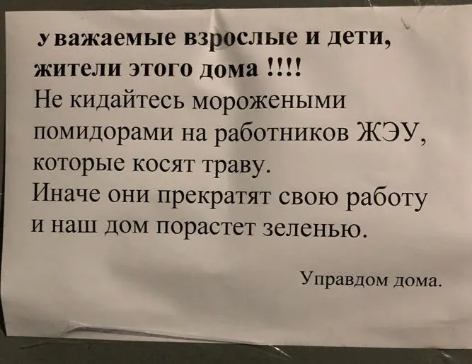 Мешают спать: жители Ярославля закидали косильщиков травы морожеными помидорами