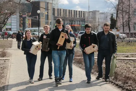 В парке Мира в Ярославле птицы отметили новоселье