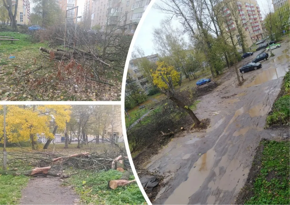 Подмосковный подрядчик ярославских дворов признан недобросовестным