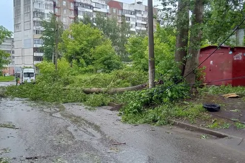 В Ярославле ночью устраняли последствия вчерашней грозы