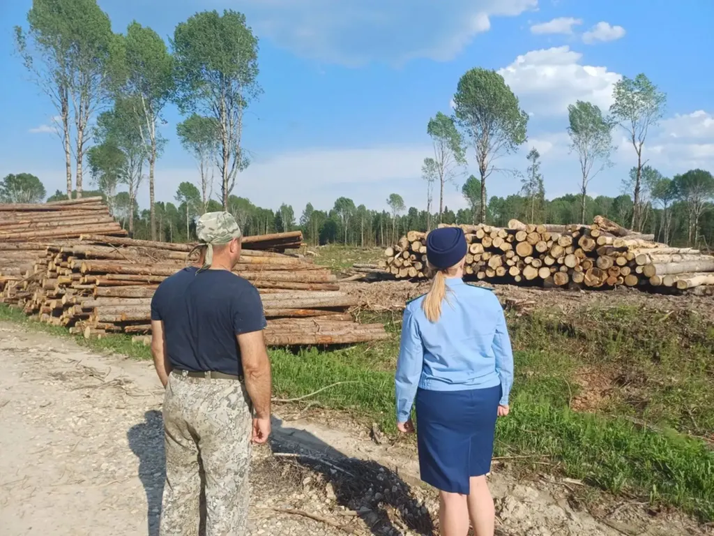 Прокуратура ликвидировала нелегальный склад древесины