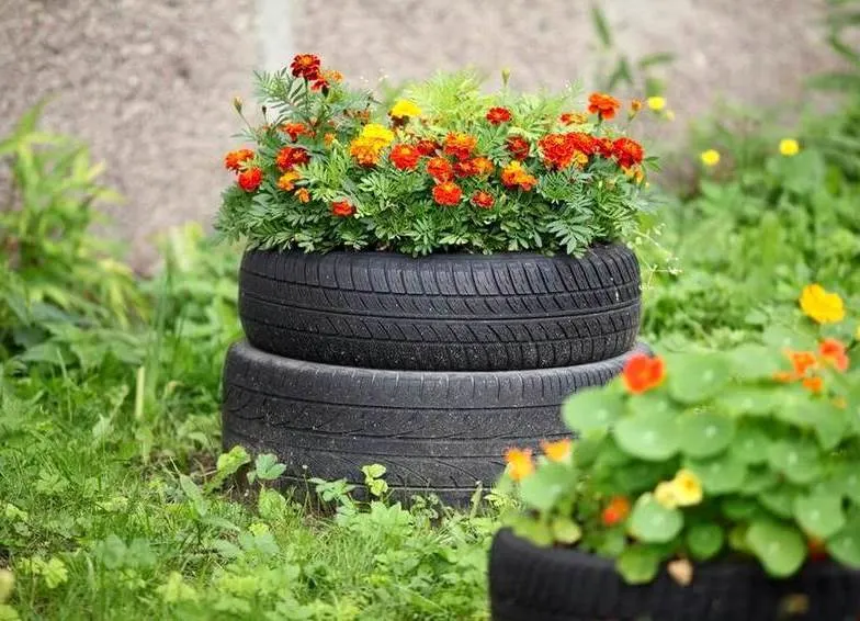 В Ярославле запретят клумбы и ограды из резиновых покрышек