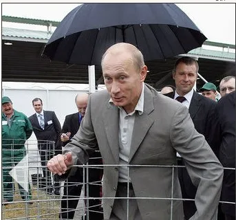 Из чего сделан купол для Путина?