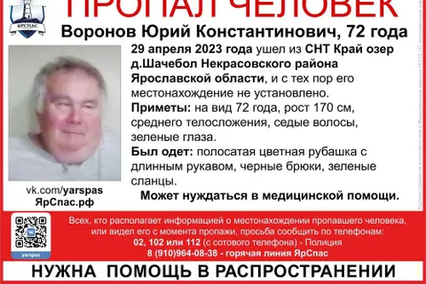 «Увезли на машине»: 72-летний ярославец исчез в Некрасовском районе