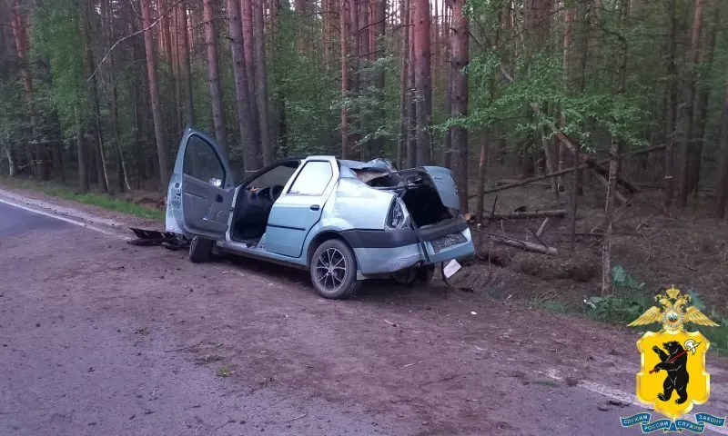 Мужчина погиб в аварии на дороге под Ярославлем