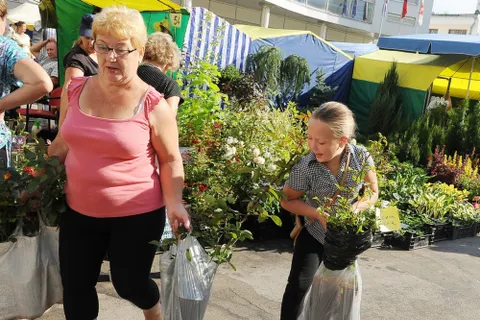 В Ярославле начала работу XV межрегиональная выставка «Сады». Фоторепортаж
