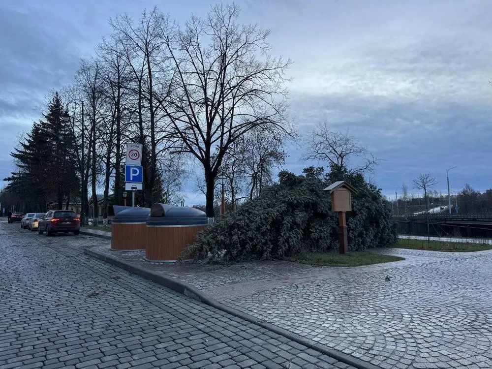 Ярославцев предупредили о сильном штормовом ветре
