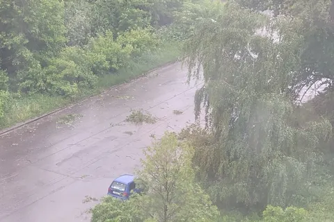 В Ярославле из-за грозы и ветра падают столбы и деревья