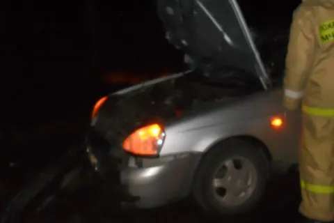 В Ярославской области Лада «Приора» сбила лося