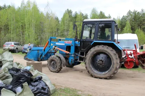 Из лесов Ярославской области вывезли более 800 кубометров мусора