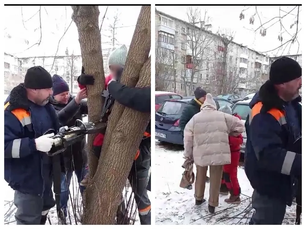Ярославские спасатели освободили девочку из плена стволов ясеня