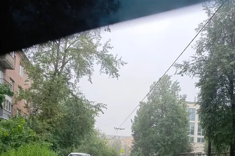 В Ярославле дерево упало на дом