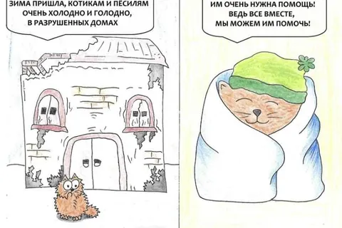 Костромской енот собирает помощь животным из зоны СВО