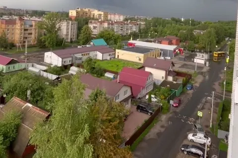 Сильный ветер продолжает ломать деревья в Ярославской области
