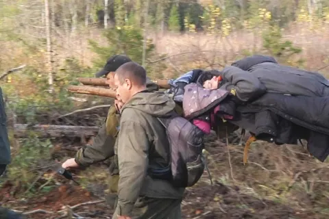 Пропавшую в Тутаеве женщину нашли и вынесли из леса на руках