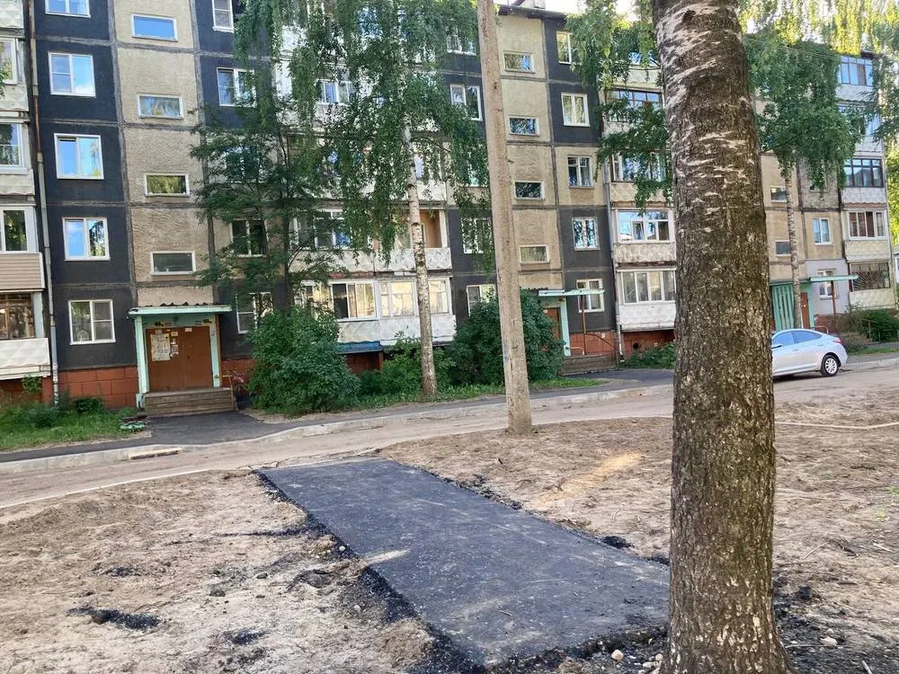 В Ярославле сохранят дерево раздора