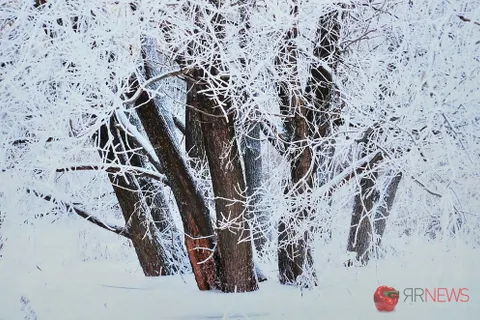 В Ярославле открылась выставка фотохудожника Николая Козичева. С фото