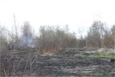 В Переславском районе тушат природные пожары