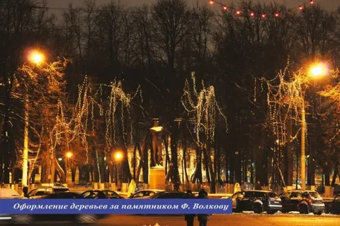 ​В Ярославле выбрана главная городская Новогодняя ёлка